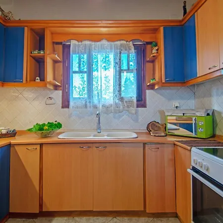 Apartment Blue Roses Near Turtle National Park Beach Vasilikí